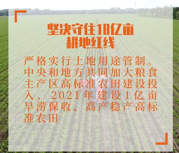 2021年中央一号文件发布！重点合集！(图6)