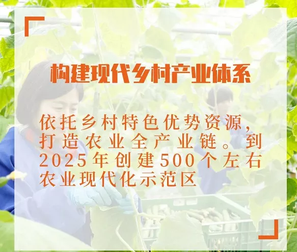 2021年中央一号文件发布！重点合集！(图7)