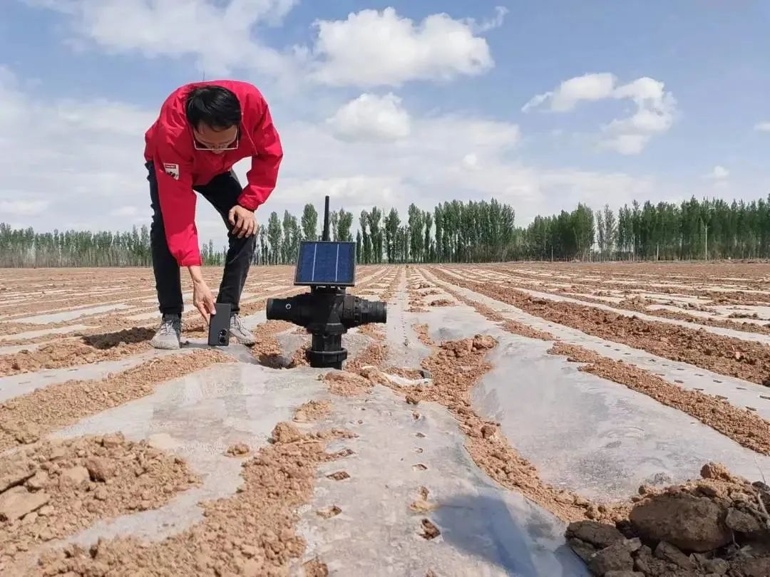 企业文化践行者丨辛鹏飞：践行使命，让更多农业从业者实现更高价值(图2)