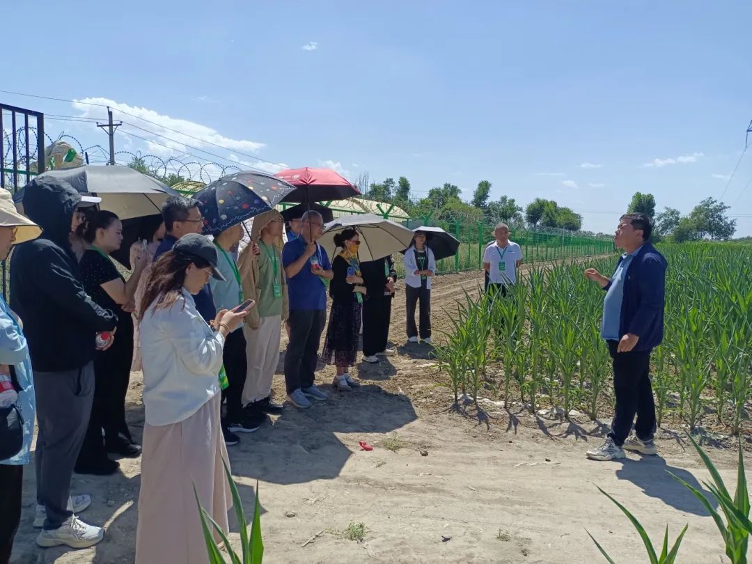 自治区“新疆粮食作物智能水肥一体化技术研究及转型升级”高级研修班圆满收官(图16)