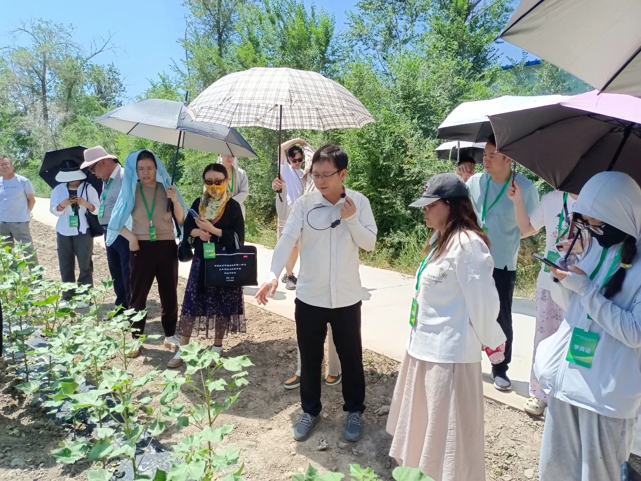 自治区“新疆粮食作物智能水肥一体化技术研究及转型升级”高级研修班圆满收官(图17)